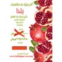 پکیج ویژه شب یلدا